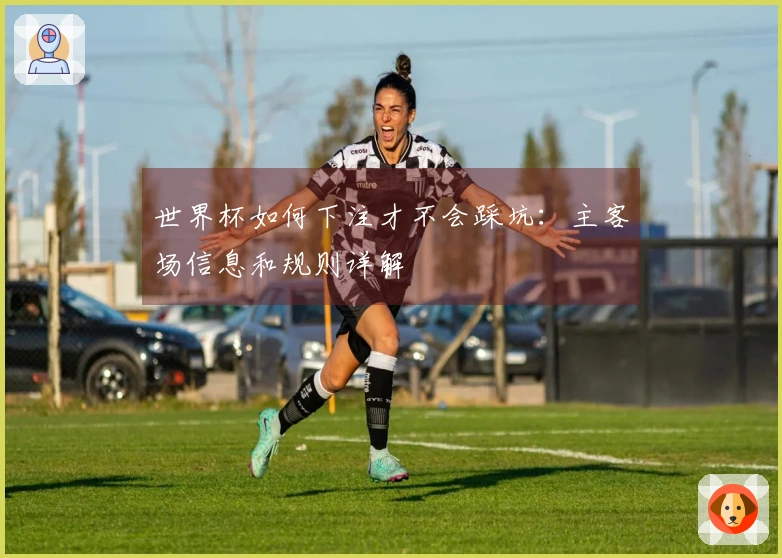 世界杯如何下注才不会踩坑：主客场信息和规则详解