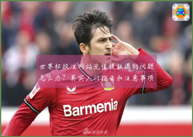 世界杯投注网站充值提款遇到问题怎么办？真实入门指南和注意事项