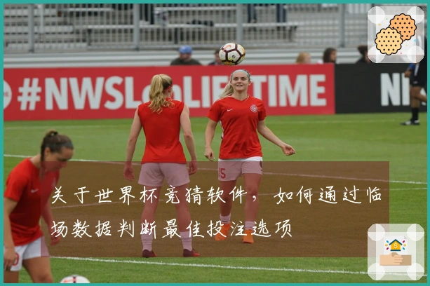 关于世界杯竞猜软件，如何通过临场数据判断最佳投注选项