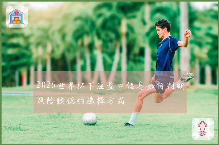 2026世界杯下注盘口信息如何判断风险较低的选择方式