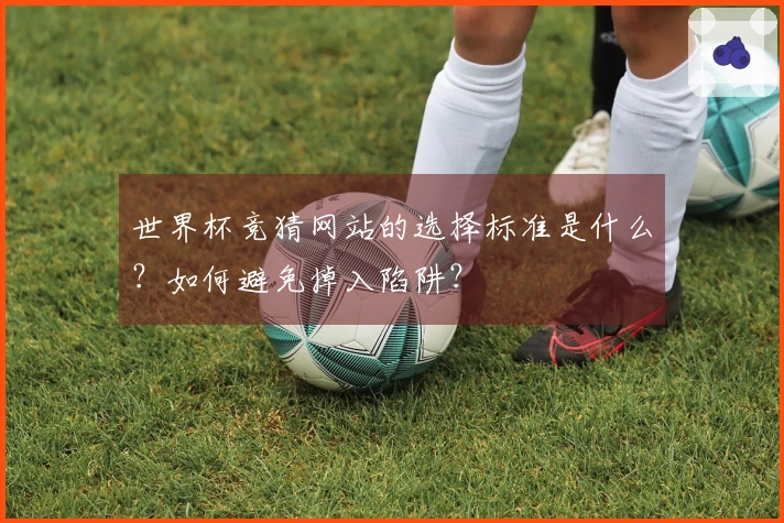 世界杯竞猜网站的选择标准是什么？如何避免掉入陷阱？