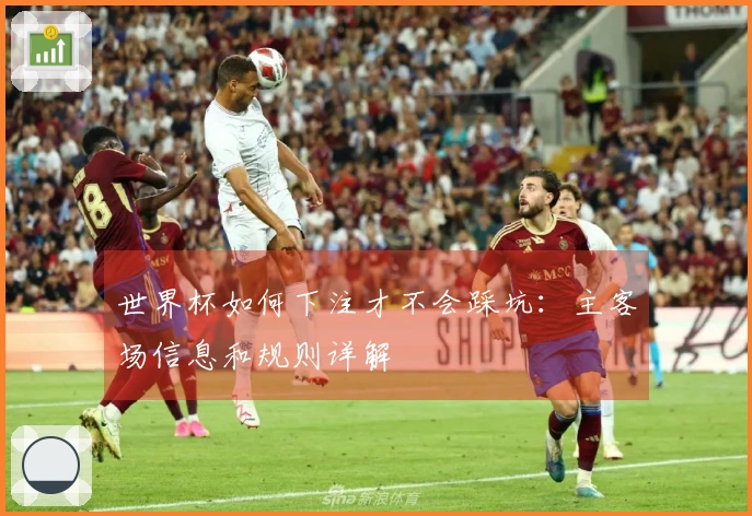 世界杯如何下注才不会踩坑：主客场信息和规则详解